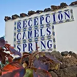 Camel's Spring Club *