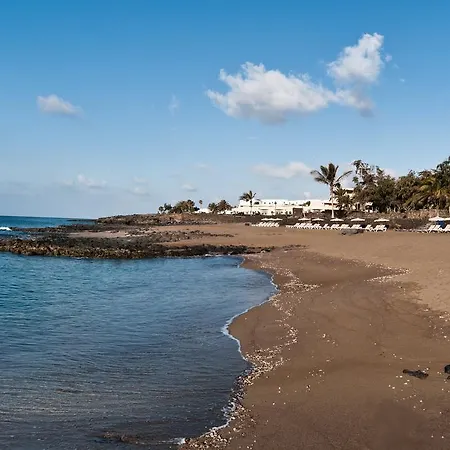 Daire Camel's Spring Club *