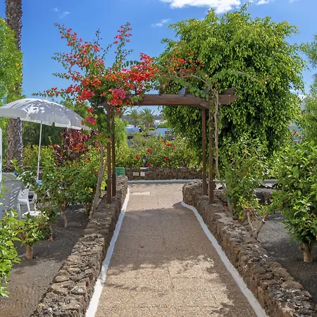 Camel's Spring Club アパート