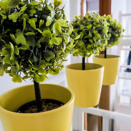 Camel's Spring Club アパート