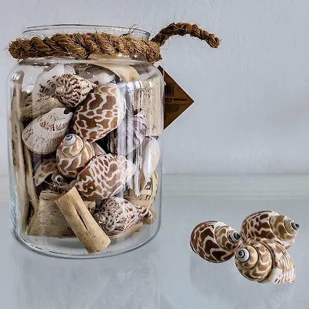 Camel's Spring Club * コスタ・テギセ